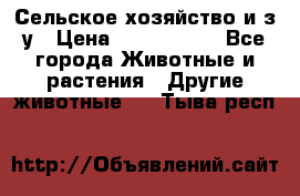 Сельское хозяйство и з/у › Цена ­ 2 500 000 - Все города Животные и растения » Другие животные   . Тыва респ.